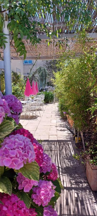 La Belle Vie B&B Montréal Exteriér fotografie